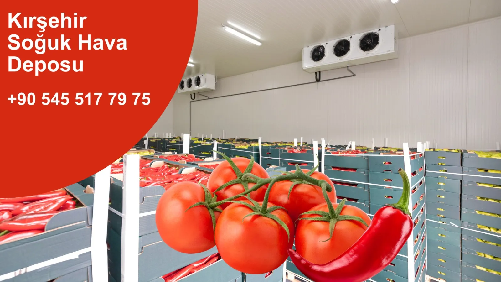 Kırşehir Soğuk Hava Deposu