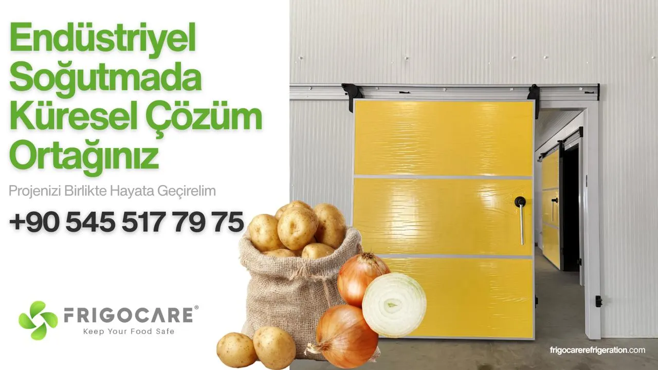Patates ve Soğan Depolamada Dikkat Edilecekler