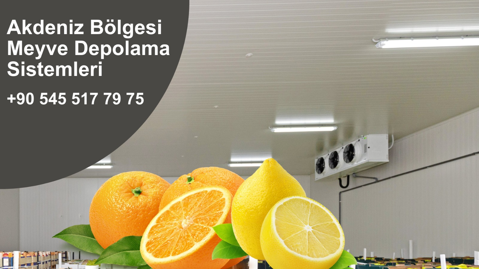 Lojistik Soğuk Hava Deposu