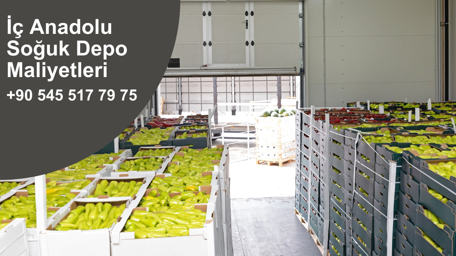 Lojistik Soğuk Hava Deposu