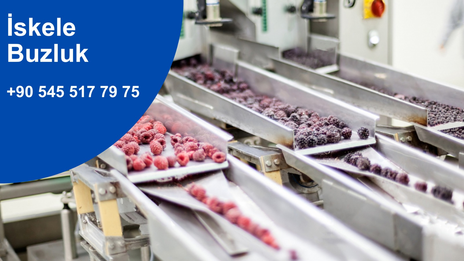 Lojistik Soğuk Hava Deposu